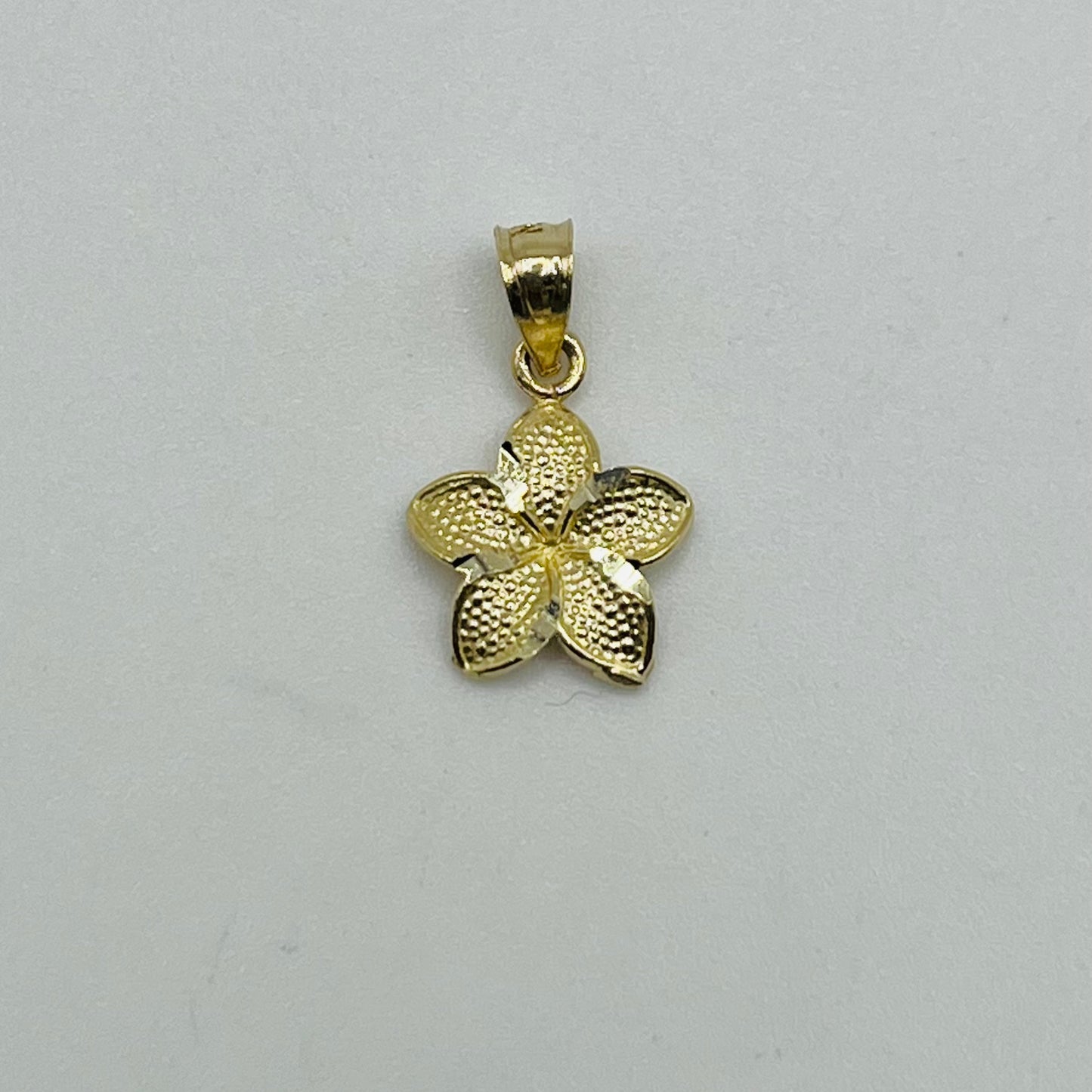 10k Gold Hibiscus Dc Border Charm (small)