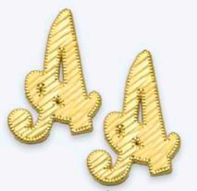 10K Gold Large Cursive Initial Earrings (shiny diamond cut finish)