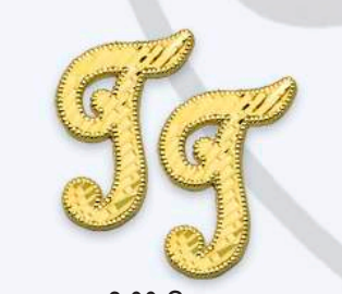 10K Gold Large Cursive Initial Earrings (shiny diamond cut finish)