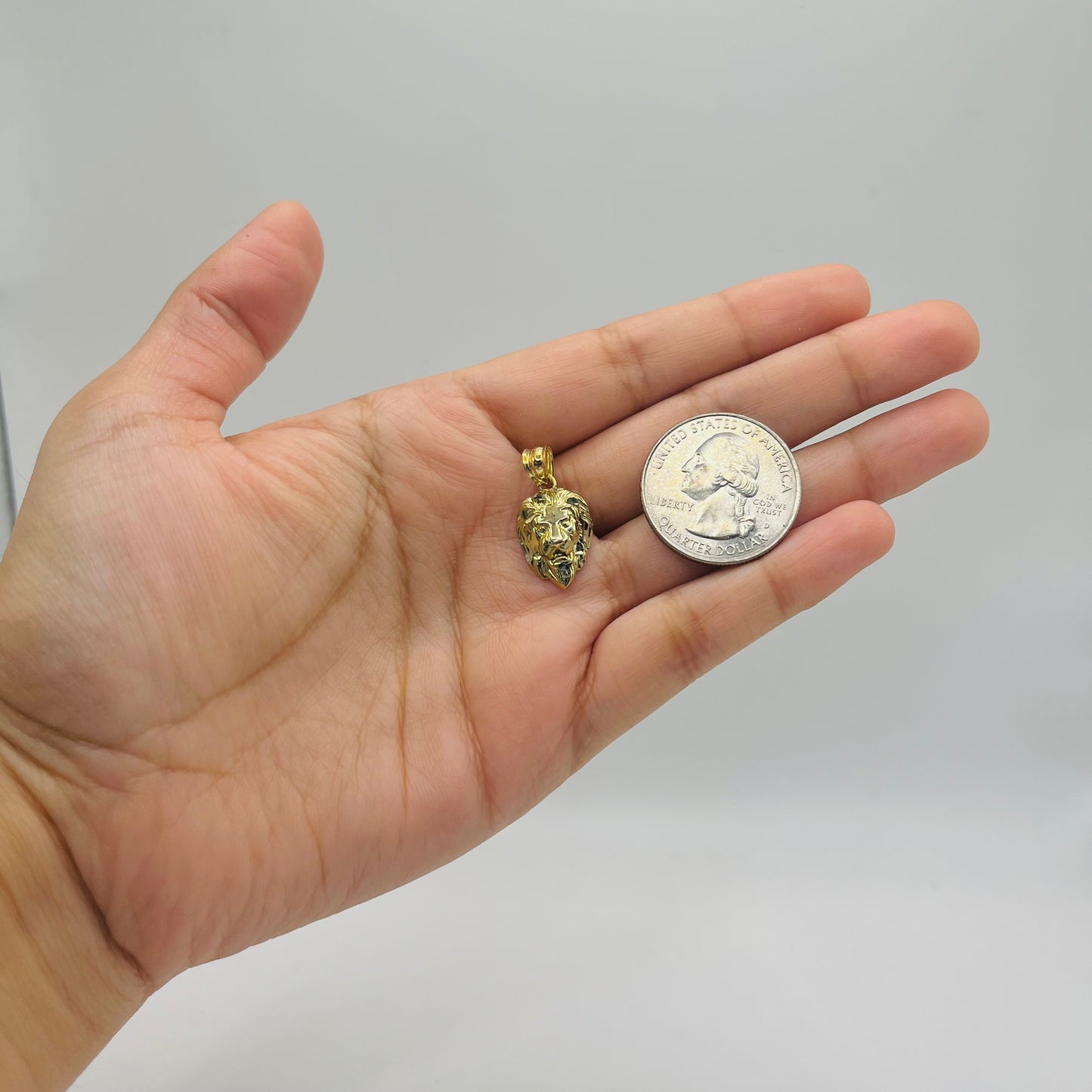 10k Gold High Polish Lion Face Charm (S)