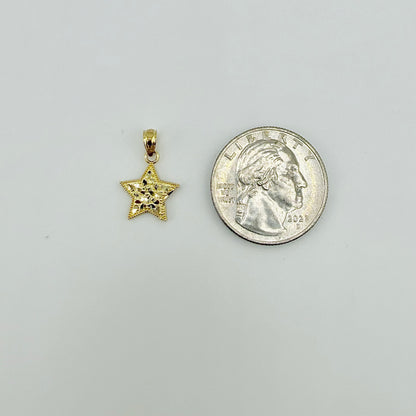 10k Gold Star Nugget Charm (S)