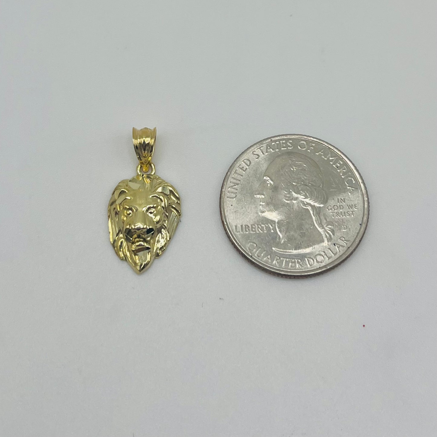 10k Gold High Polish Lion Face Charm (S)