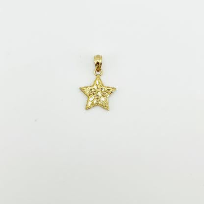 10k Gold Star Nugget Charm (S)