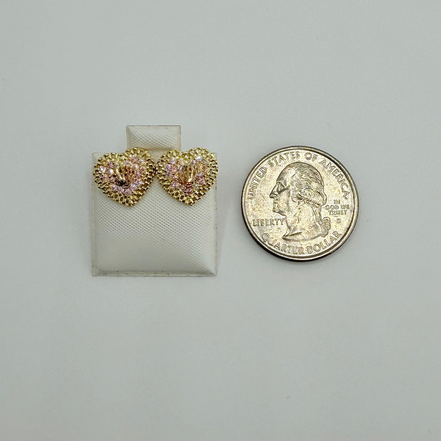 10k Gold Rx Border Princess Crown Earrings