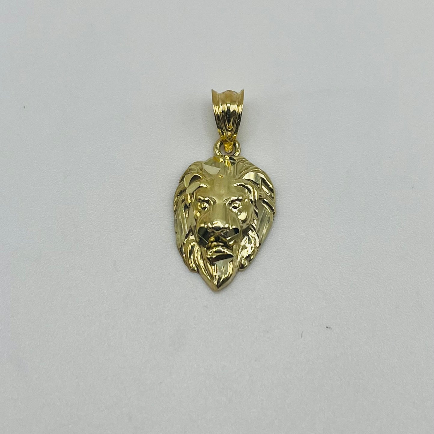 10k Gold High Polish Lion Face Charm (S)