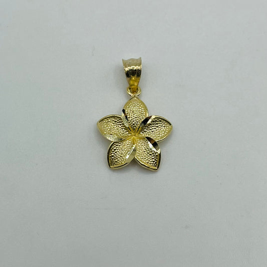 10k Gold Hibiscus Dc Border Charm (Medium)