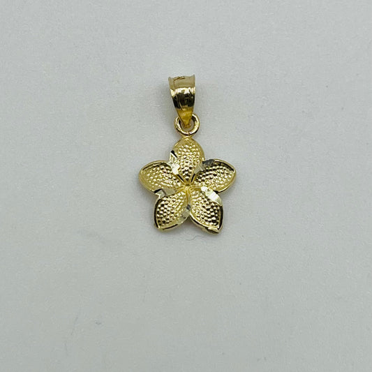 10k Gold Hibiscus Dc Border Charm (small)
