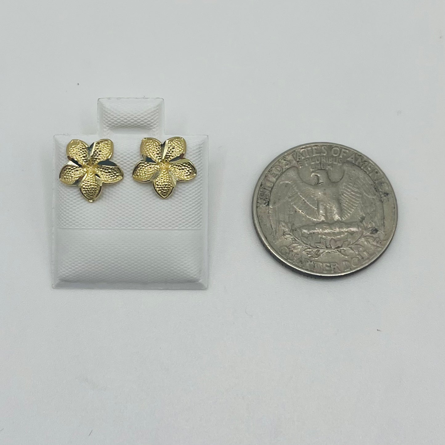 10k Gold Hibiscus Earrings (Regular)