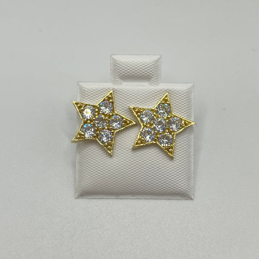 10k Gold Shining Star Earrings