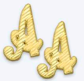 10K Gold  Large Cursive Initial Earrings (shiny diamond cut finish)